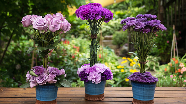 Season 8 will also be available for streaming online.